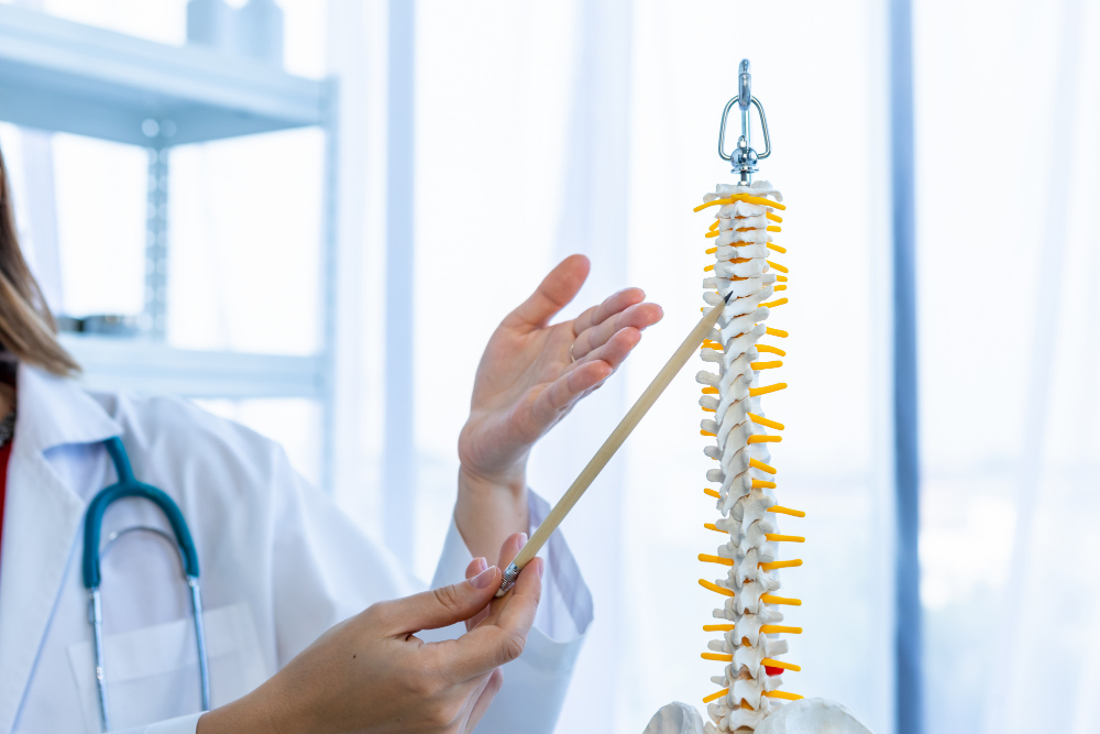 Best Spine Surgeon Doctors in India